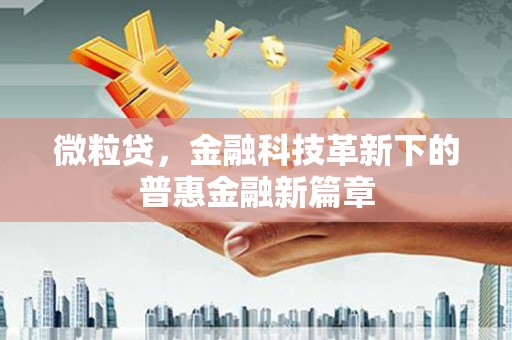 长岭微粒贷，金融科技革新下的普惠金融新篇章