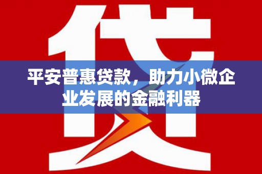 长岭平安普惠贷款，助力小微企业发展的金融利器