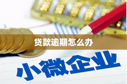 长岭贷款逾期怎么办
