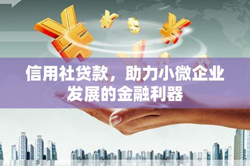 长岭信用社贷款，助力小微企业发展的金融利器
