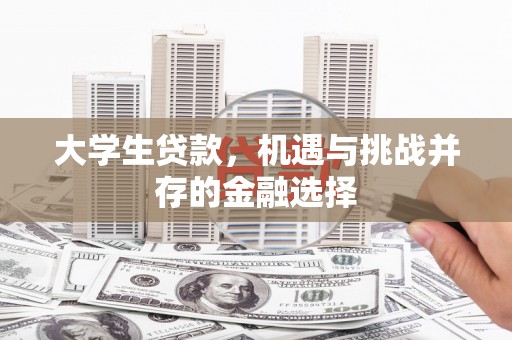 长岭大学生贷款，机遇与挑战并存的金融选择