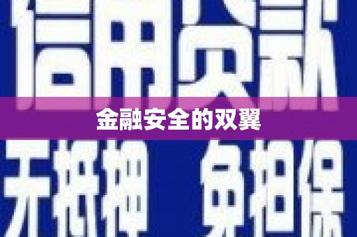 长岭金融安全的双翼