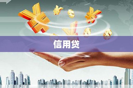 长岭信用贷