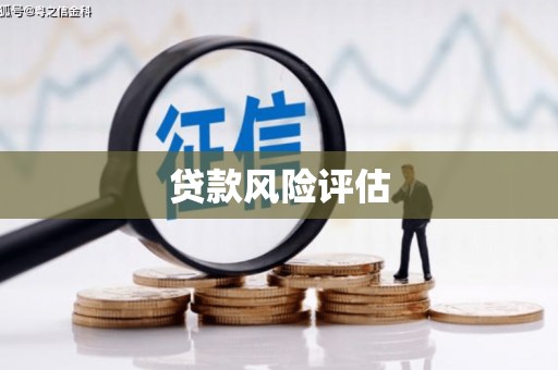 长岭贷款风险评估