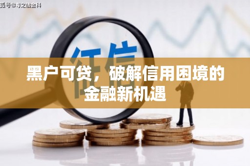 长岭黑户可贷，破解信用困境的金融新机遇