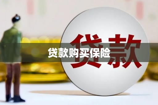 长岭贷款购买保险