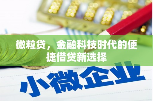 长岭微粒贷，金融科技时代的便捷借贷新选择