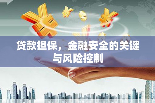 长岭贷款担保，金融安全的关键与风险控制