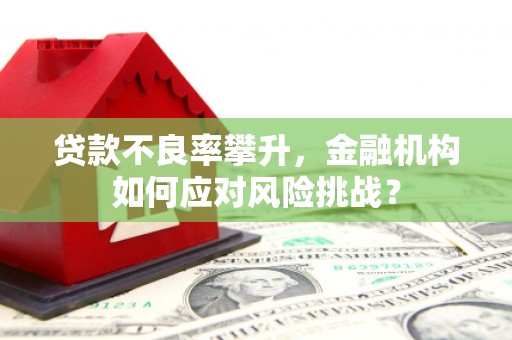 长岭贷款不良率攀升，金融机构如何应对风险挑战？