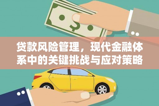 长岭贷款风险管理，现代金融体系中的关键挑战与应对策略