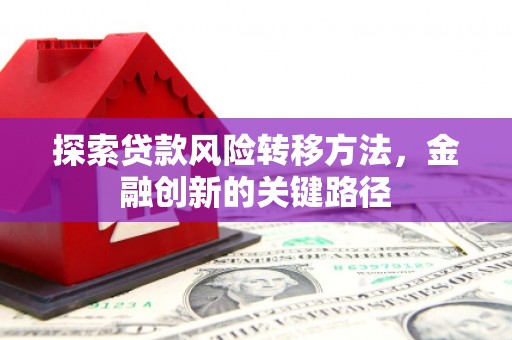 长岭探索贷款风险转移方法，金融创新的关键路径