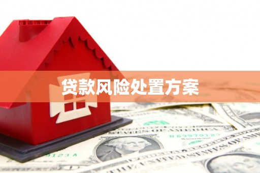 长岭贷款风险处置方案