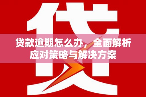 长岭贷款逾期怎么办，全面解析应对策略与解决方案