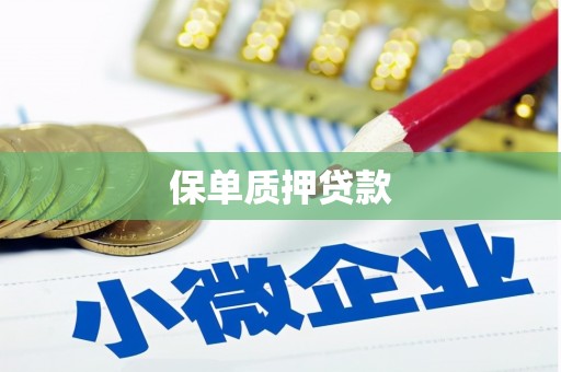 长岭保单质押贷款