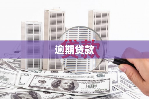长岭逾期贷款