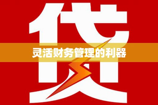 长岭灵活财务管理的利器