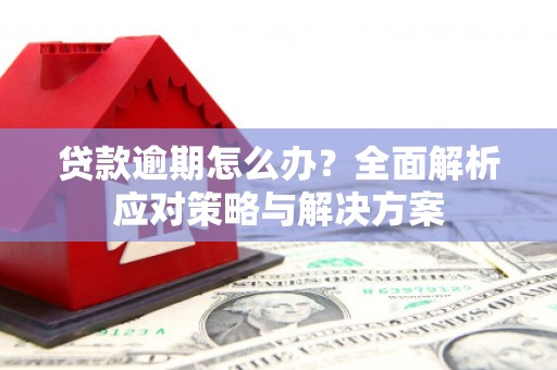 长岭贷款逾期怎么办？全面解析应对策略与解决方案