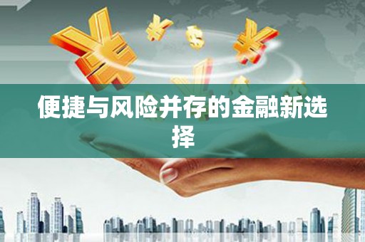 长岭便捷与风险并存的金融新选择