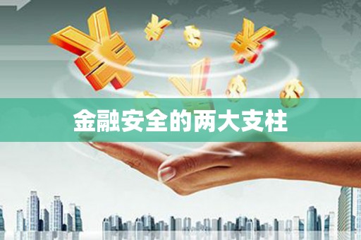 长岭金融安全的两大支柱