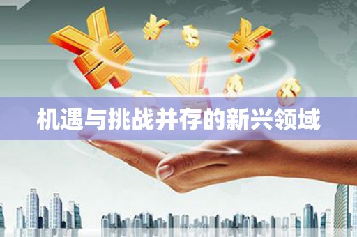 长岭机遇与挑战并存的新兴领域