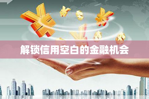 长岭解锁信用空白的金融机会