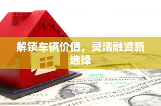 长岭解锁车辆价值，灵活融资新选择