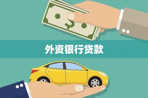 长岭外资银行贷款