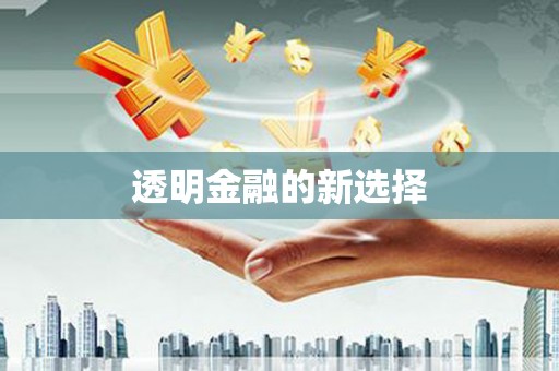 长岭透明金融的新选择