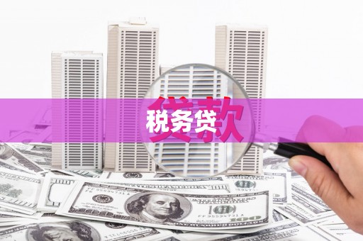 长岭税务贷