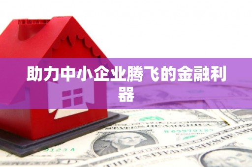 长岭助力中小企业腾飞的金融利器