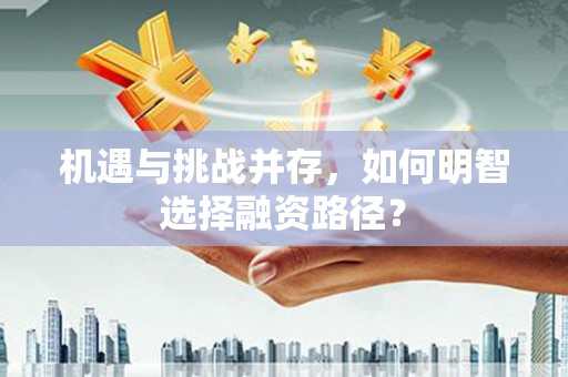 长岭机遇与挑战并存，如何明智选择融资路径？