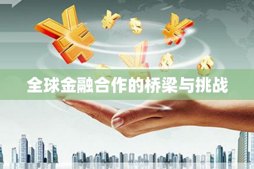 长岭全球金融合作的桥梁与挑战