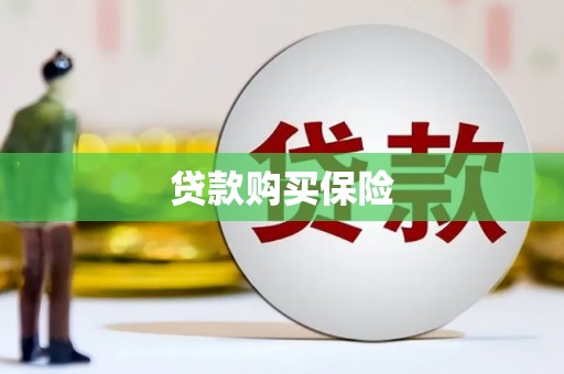 长岭贷款购买保险