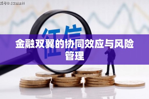 长岭金融双翼的协同效应与风险管理