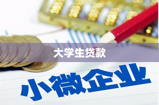 长岭大学生贷款