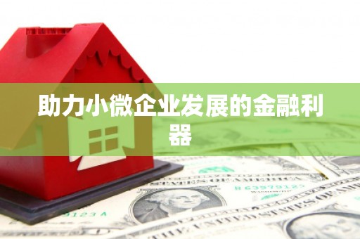 长岭助力小微企业发展的金融利器