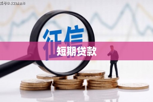长岭短期贷款