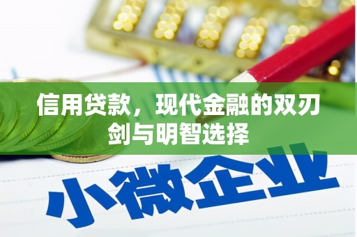 长岭信用贷款，现代金融的双刃剑与明智选择