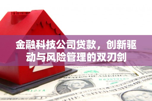 长岭金融科技公司贷款，创新驱动与风险管理的双刃剑