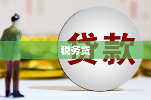 长岭税务贷